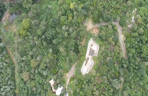 Yercaud Resort | Blue Valley Estate-12 Acre Forest-Silver Oak-Villa