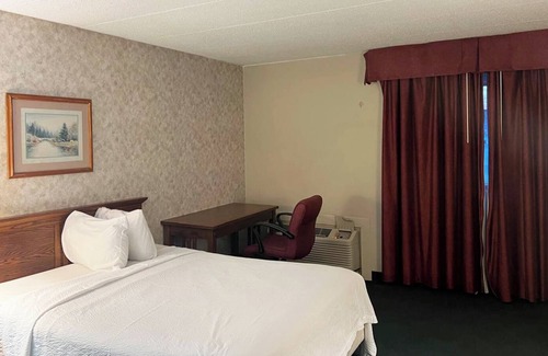 La Crosse Hotel | Blue Way Inn and Suites Lacrosse - 1 King Bed Non Smoking