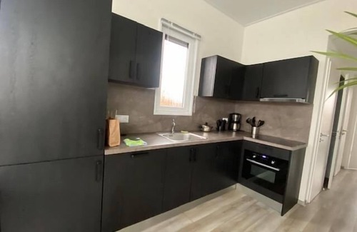Biddinghuizen House | Boat with 3 bedrooms and a terrace