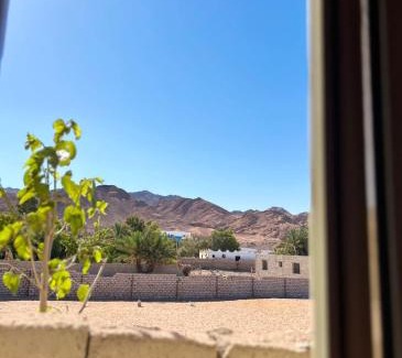 Dahab Apartment | Bohemian Guest-House Dahab