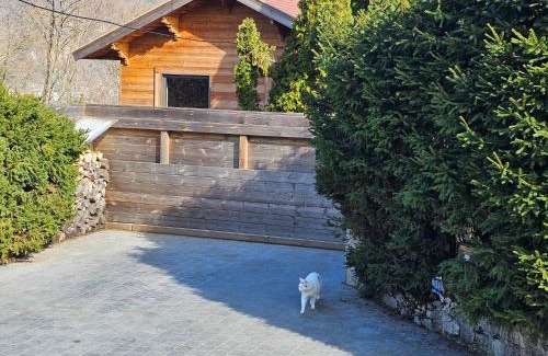 Annecy Ski Chalet | Bois des Alpes