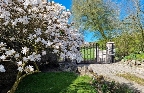 Oswestry Cabin | Book now for summer 2024