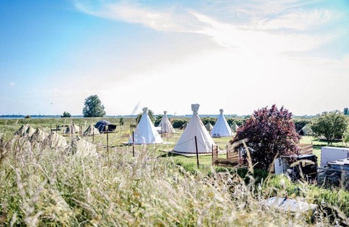 Zuid-Beijerland House | Book your own dome on an island now! In the middle of nature.