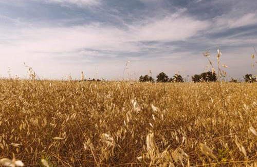 Gambassi Terme Apartment | Borgo Le Colline Luxury Agriturismo in Tuscany