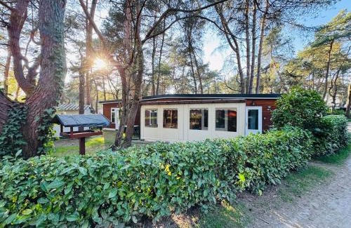 Balen Ski Chalet | Boshuisje June - middenin de natuur op een uurtje rijden van Antwerpen en Maastricht