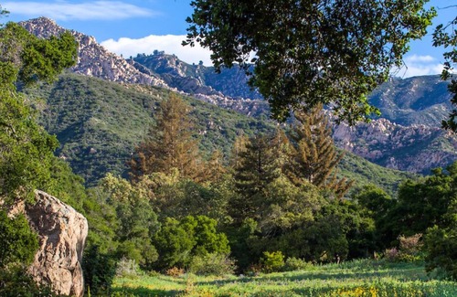 Mission Canyon Cabin | Botanical Cabin Santa Barbara 5 minutes to the Beach