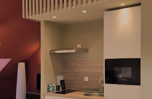 Lens Apartment | Botanical Garden-Apartment -Ground floor