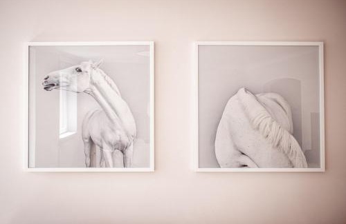 Baden Baden Old Town Apartment | Boutique Charme Apartments