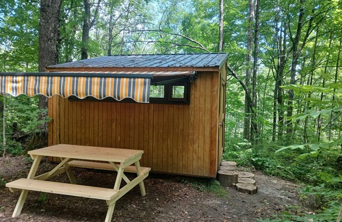 Strong Cabin | Brand New Dream Den Bunkie for Two with Canoe, River Access, and Scenic Trailsn