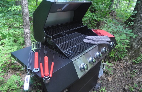 Strong Cabin | Brand New Dream Den Bunkie for Two with Canoe, River Access, and Scenic Trailsn