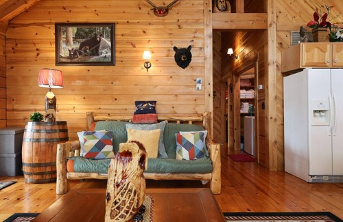 Blue Eye Cabin | Branson MO Log Cabin Private Porch Quiet Mtn. Forest View Above Lake, Handicap
