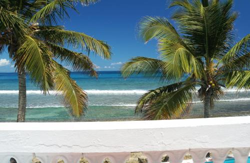 Bravos de Boston Hotel | Bravo Beach Hotel