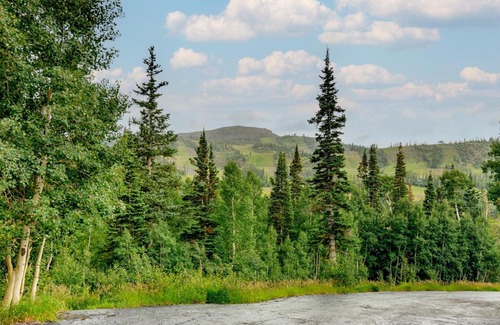 Brian Head Apartment | Brian Head Vacation Rental Walk to Giant Steps!