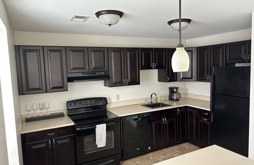 Downtown Rochester Apartment | Bright and Beautiful 2-bedroom in Rochester! Pet-friendly and centrally located!