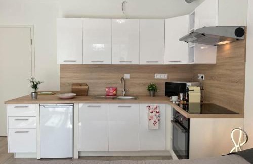 Vizafogo Apartment | Bright Riverside Studio, Balcony, Free Parking, Air Conditioning