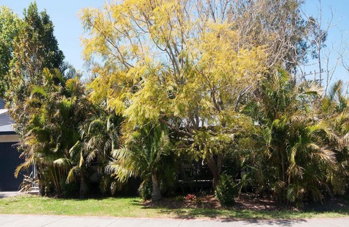Tea Gardens House | Brilliant Location - Stones throw from the Myall River