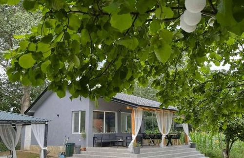 Central Serbia House | Brioni House