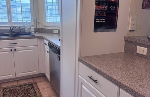 Lutz Condo | Brithday Suit Suite with WiFi in Paradise Lakes Clothing Optional Complex