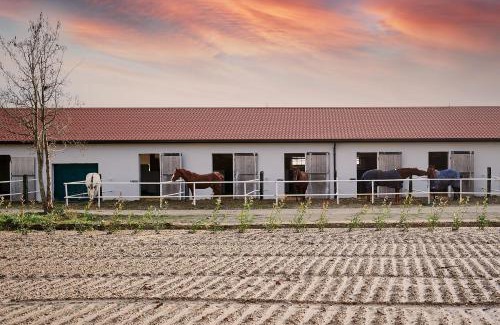Brussa House | Brussa Horse Oasi