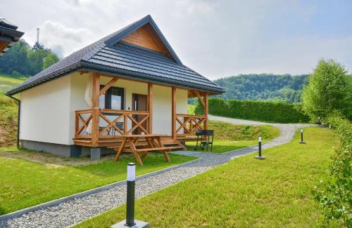 Polanczyk House | Brzozowa Osada