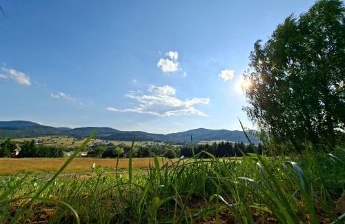 Regietow Villa | Brzozowe Wzgórze