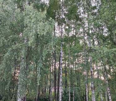 Dubeninki House | Brzozowy Chillout