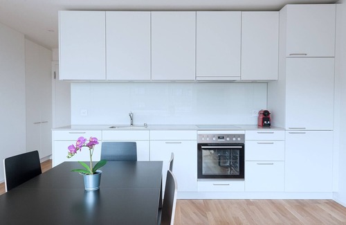Basel City Centre Apartment | BS Squirrel V - Messe HITrental Apartment