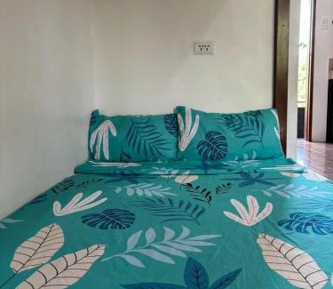 Albay Province Apartment | Budget AC WI-FI Natl Road Ligao City Rm306