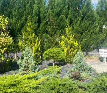Dammarie Les Lys Hotel | Budget Hotel Melun Sud - Dammarie Les Lys