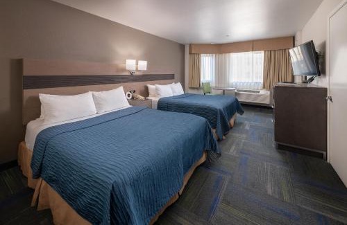 Cow Hollow Hotel | Buena Vista Motor Inn