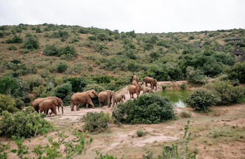 Paterson Cabin | Bukela Game Lodge - Amakhala Game Reserve