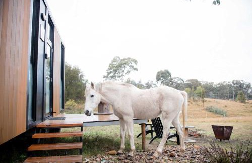 Martindale House | Bundaleer Tiny House 2 by Tiny Away