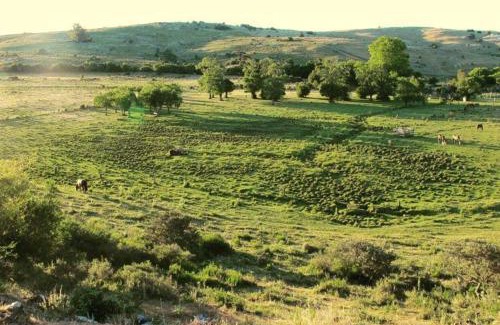 Lavalleja House | Bungalow de campo Torero - sierras, naturaleza y relax