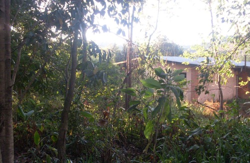 Antananarivo Avaradrano House | Bungalow Dowtown in a Park With Lake, Birdwatch
