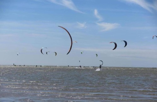 Municipality of Nissewaard House | Bungalow in Zuytland with Private Fishing Jetty