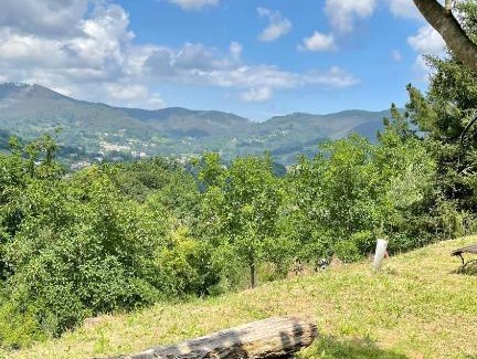 Mercadillo Apartment | Bungalows Virales