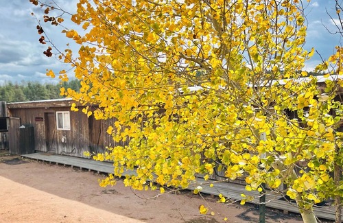 Lake George Cabin | Bunkhouse East Cabin