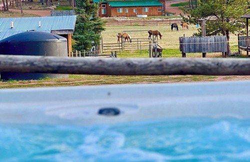 Lake George Cabin | Bunkhouse East Cabin