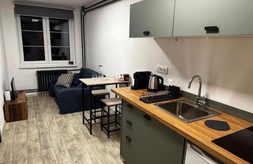 Prague 6 Apartment | Byt v rezidenční čtvrti Prahy 6