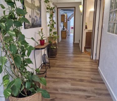 Bellcaire d'Emporda Apartment | Ca la Teia