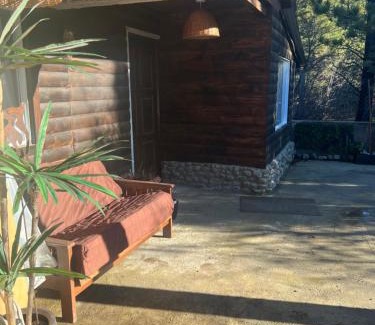 Moquehue Ski Chalet | Cabaña