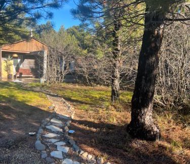 Moquehue Ski Chalet | Cabaña