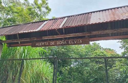 Xilitla Apartment | Cabaña Calandria