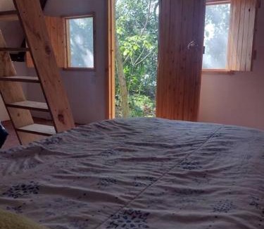 Xilitla Apartment | Cabaña Calandria