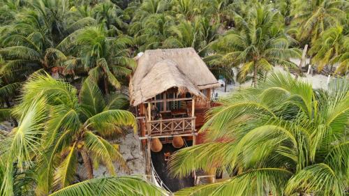 Punta Allen House | Cabaña Cielo
