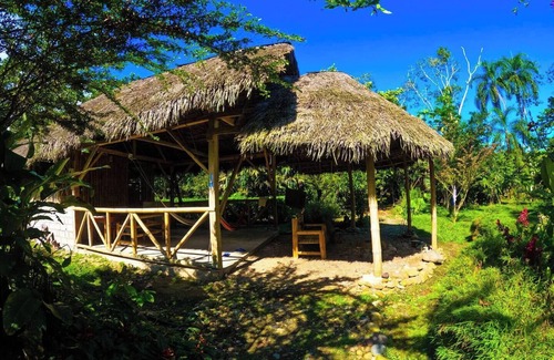 Ahuano Cabin | Cabaña en la Selva, Cómoda, Cercana a a Ríos y Rodeada de Bosque