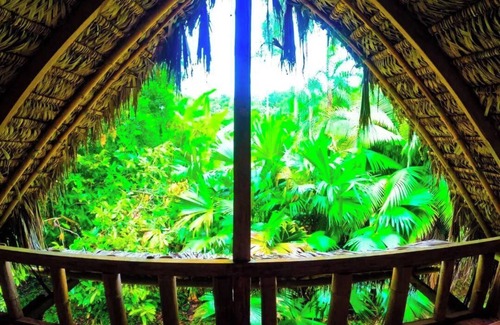 Ahuano Cabin | Cabaña en la Selva, Cómoda, Cercana a a Ríos y Rodeada de Bosque