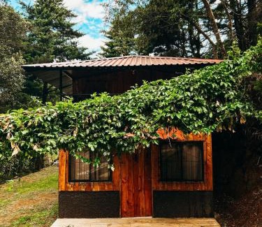 Poas Volcano National Park Ski Chalet | Cabaña Piqueza!