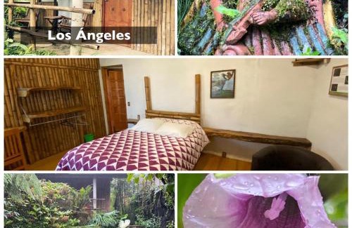Cuetzalan del Progreso Hotel | Cabañas Aldea San Francisco de Asís