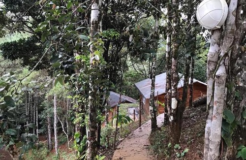 Cerro Azul Ski Chalet | Cabañas Altos de Cerro Azul
